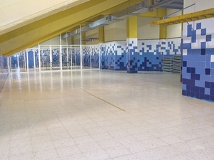 Complejo Deportivo La Magdalena Avilés