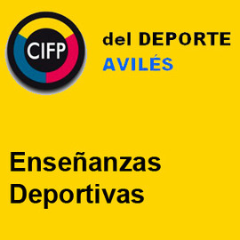 Enseñanzas deportivas