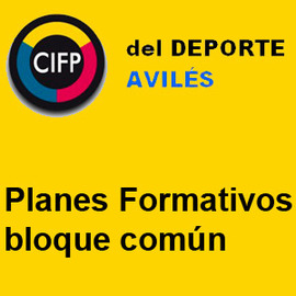 BLOQUE COMÚN LOE